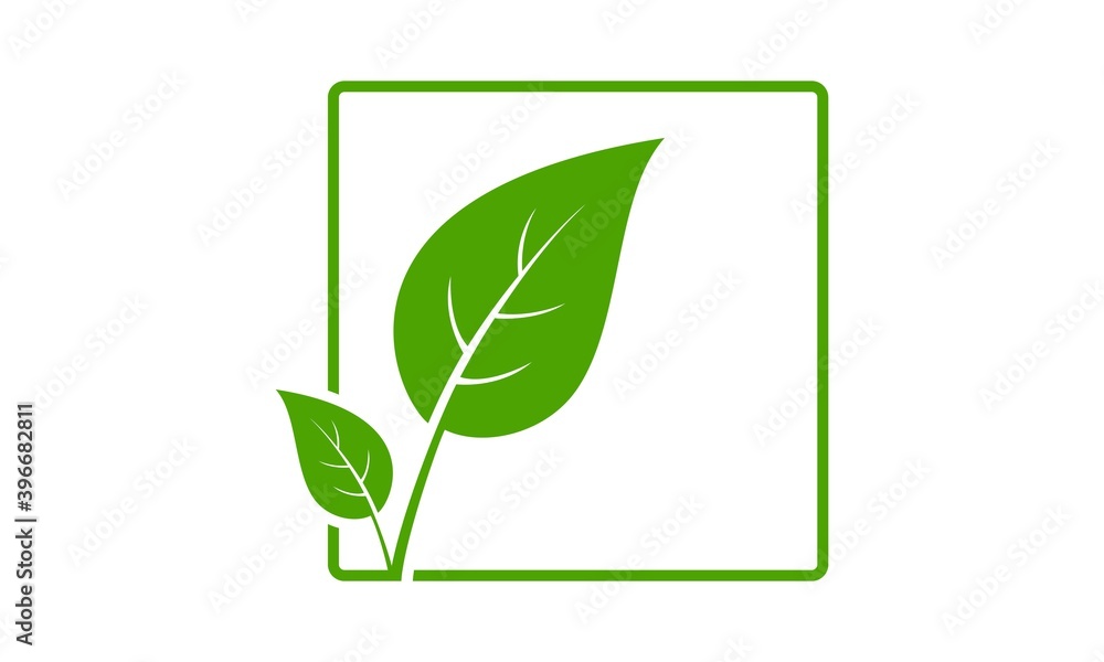 Green leaf inside the frame vector Green leaf inside the frame vector