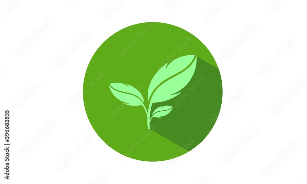 Leaf illustration icon Leaf illustration icon