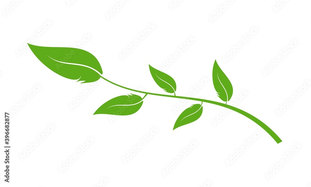 Obraz premium Leaf plant illustration vector