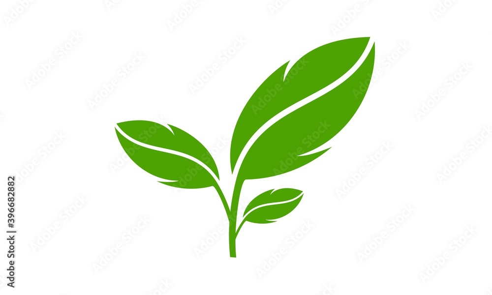 Leaf vector design