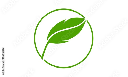 Leaf vector