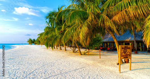Fototapeta Naklejka Na Ścianę i Meble -  Tropical bungalow on the amazing beach with a palm tree