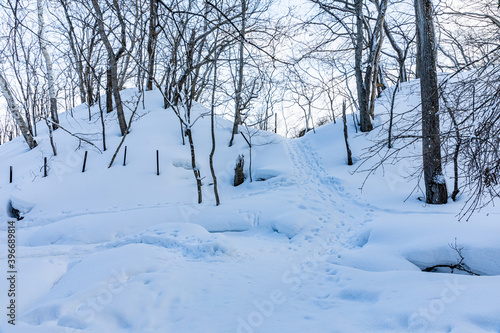 雪道の足跡 © arunco
