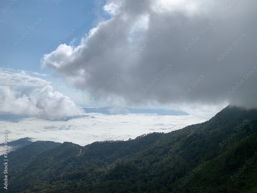 sea of fox with cloud over mountain view ep01