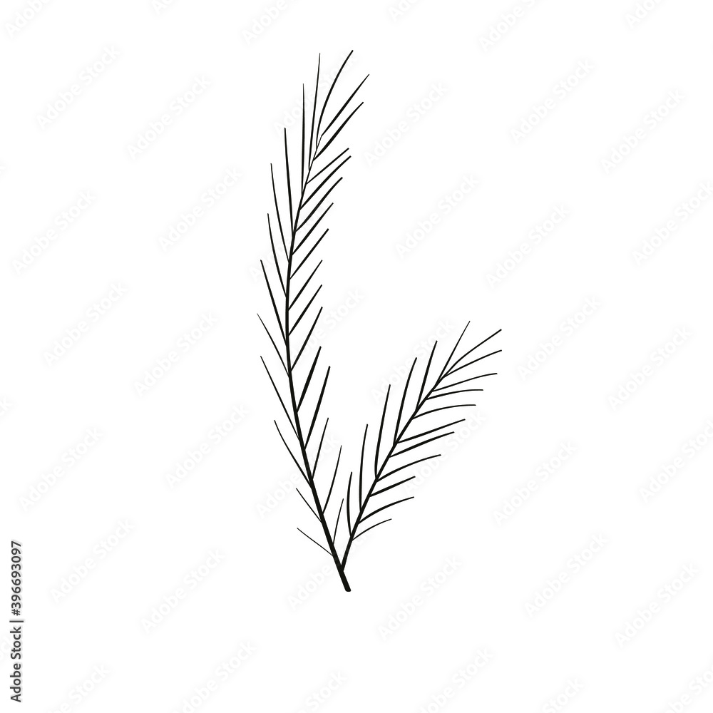 leaf vector aesthetic leaf vector aesthetic