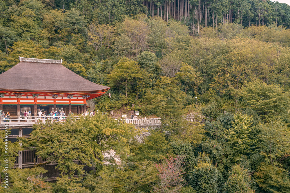 Fototapeta premium 청수사