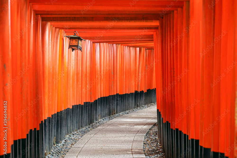 Fototapeta premium 후시미이나리