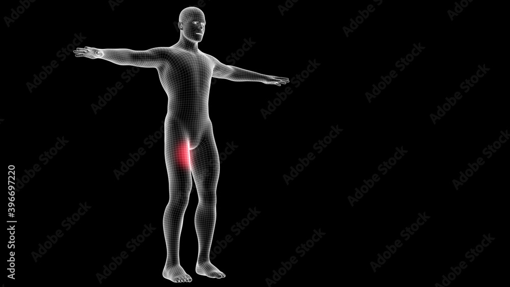 Obraz premium 3d illustration of a men xray hologram showing pain area on the leg area