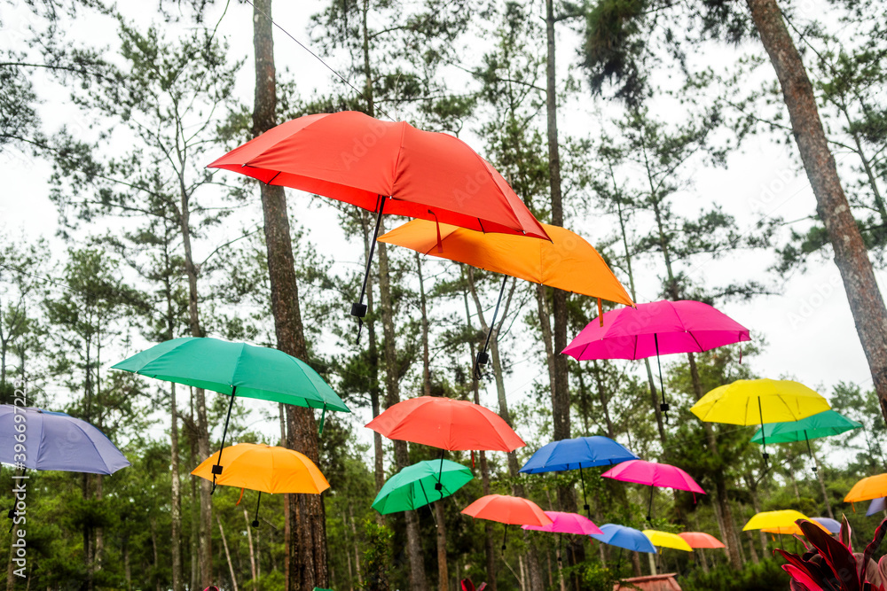 Colorful umbrellas hanging outdoor garden decorative concept