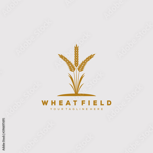 wheat field logo vector illustration design