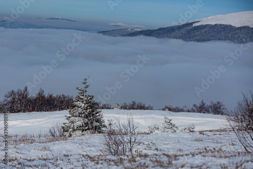 Stunning Christmas scene in the mountains. Snow landscape, Snowy mountains. Winter in the forest.