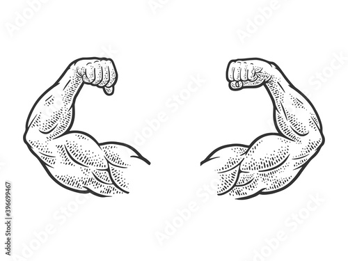Leinwand Poster Muscular hands arms of strong man bodybuilder sketch engraving vector illustration