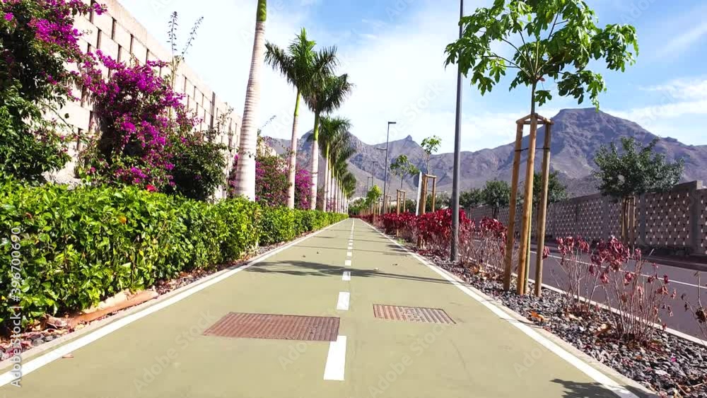 Going down the center of a cycle path with palm trees growing in a straight line. A sunny day in Costa Adeje, Tenerife with mountains in the background. Going down the center of a cycle path with palm trees growing in a straight line. A sunny day in Costa Adeje, Tenerife with mountains in the background.