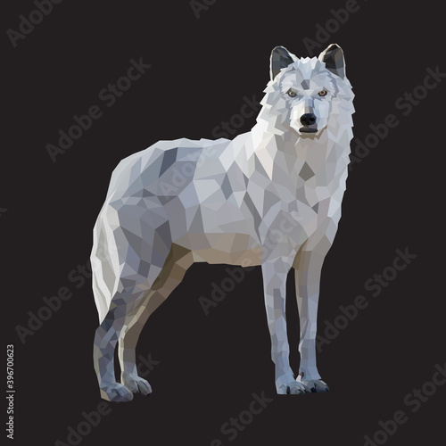 Vector illustration of a wolf from polygons isolated on a black background. Low poly style