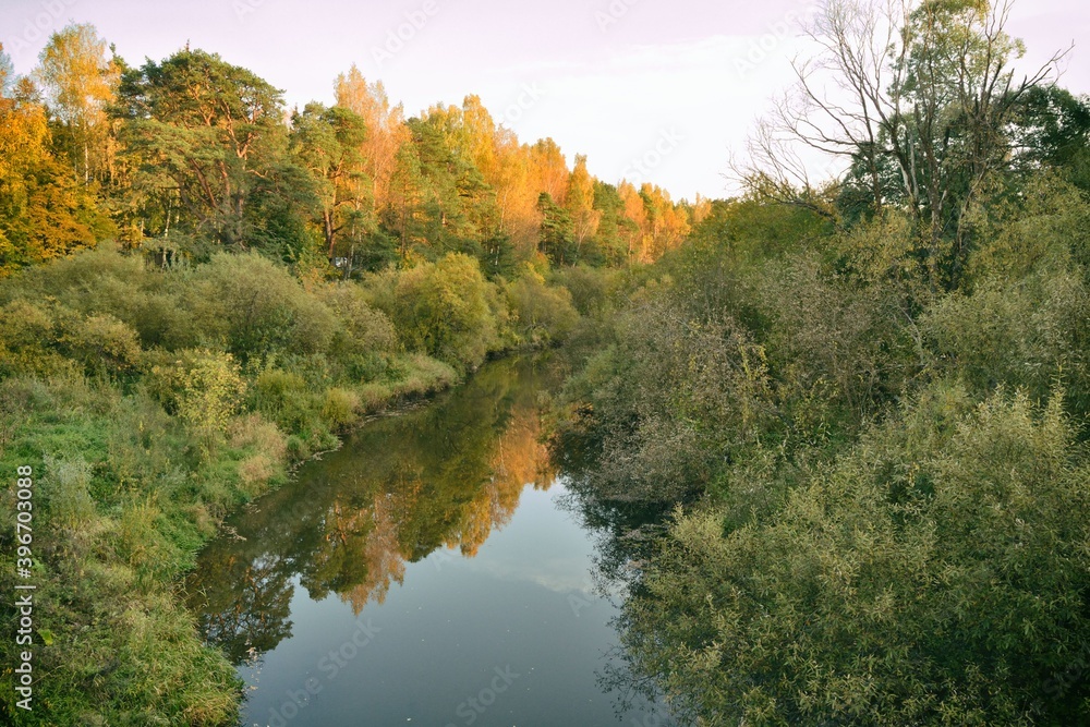 Forest river and autumn trees on sunset. Sunny autumn scene.