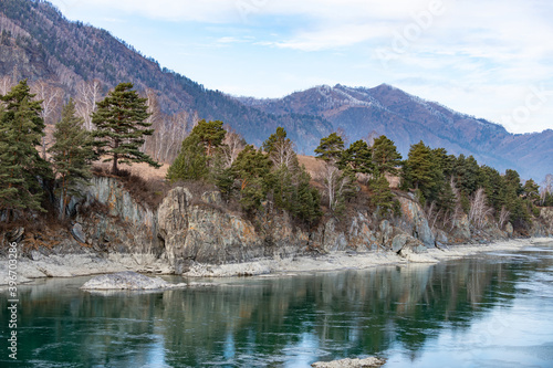 Turquoise river Katun in mountainous Altai, with rocky shores and mountain taiga with blue sky in the background