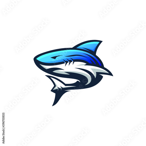 Shark Logo Design Vector
