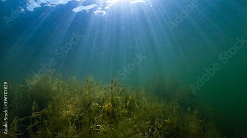 shallow water light rays © Nolan