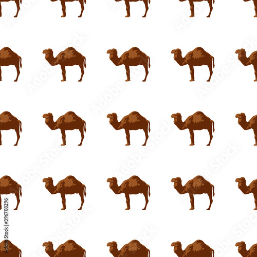 Seamless pattern with camel silhouette on white background  vector illustration