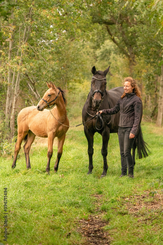 Happy smiling woman next to her horse and foal in the forest. Autumn colors