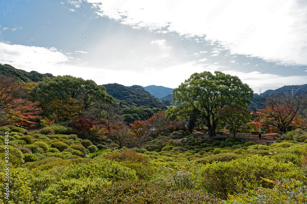 Obraz premium view of Mifuneyama rakuen park in Takeo city, saga prefecture, Japan