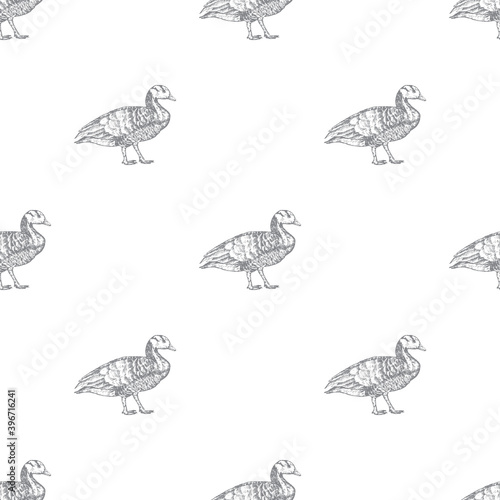 Seamless pattern with hand drawn ducks  vector illustration
