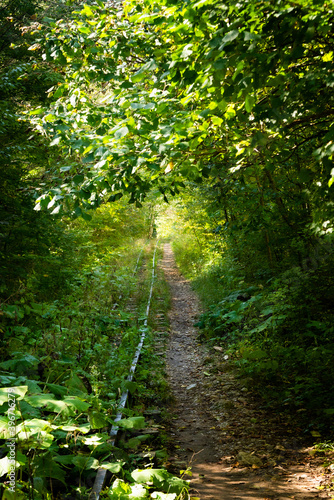 Fototapeta Naklejka Na Ścianę i Meble -  Abandoned railway in autumn mountain forest with foliar trees in Caucasus, Mezmay