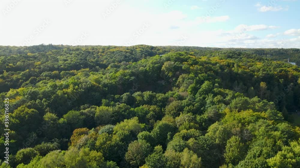 Lush Green Mountain Forest During Summer In Sopot, Poland. - aerial ascend Lush Green Mountain Forest During Summer In Sopot, Poland. - aerial ascend