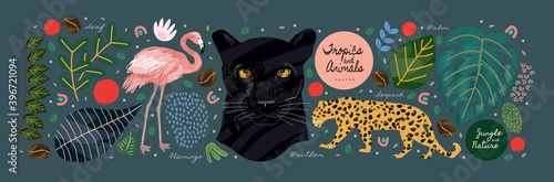 Jungle, animals and tropics. Vector illustrations of flamingo, panther, tiger, leopard, palm leaves, flowers and textures. Drawings for poster, background and cover