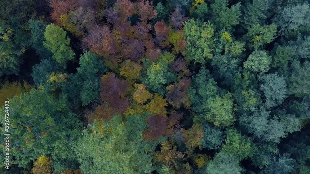 Aerial vertical flight over autumn forest. Fall landscape with red, yellow and green foliage as seen from above. Aerial vertical flight over autumn forest. Fall landscape with red, yellow and green foliage as seen from above.