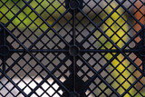Texture black elements on a colored background of the old lattice. Close-up. Background.