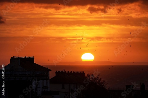 The sunrises over France and the English Channel with Folkestone's houses in the foreground. Seagulls fly through the dawn sky.