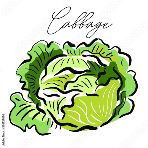Vegetables, cabbage - icon, element for patterns, backgrounds, labels, packaging, design, banners, flyers, handmade art decoration. Doodles, graphics, sketch, vector illustration.