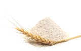 Barley flour pile with golden wheat ear isolated on white background