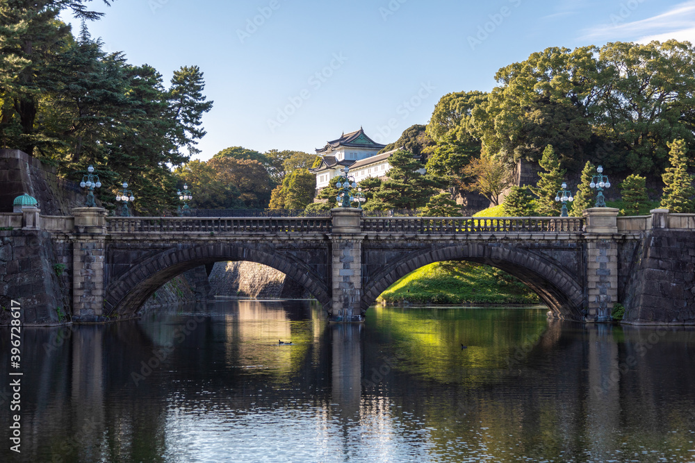 皇居正門石橋と鉄橋（二重橋）と伏見櫓と小さな水鳥