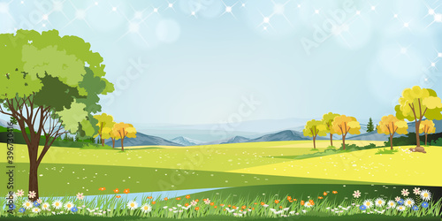 Spring landscape in Sunny day village with meadow on hills with blue sky, Panoramic countryside of green field, mountains and grass flowers,Vector Summer or Spring nature background