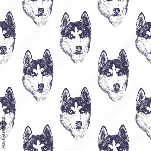 Seamless pattern with hand drawn husky portraits, vector illustration