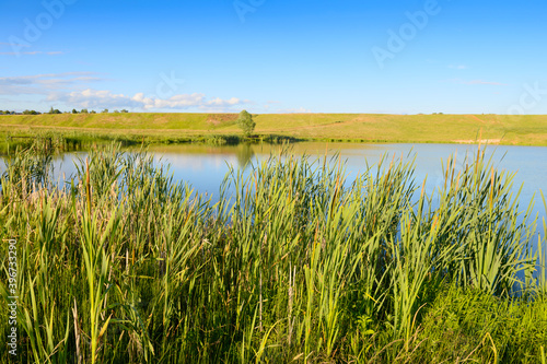 Summer landscape with a small pond and banks covered with green grass