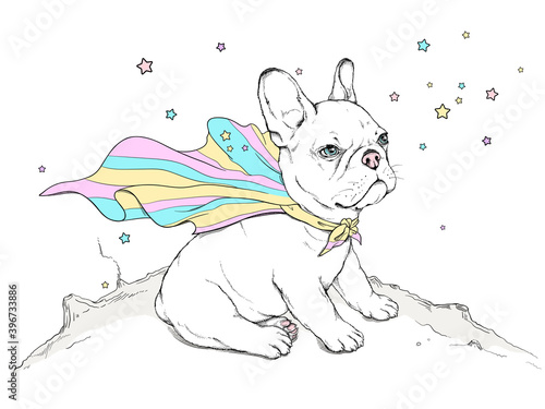Cute cartoon french bulldog puppy wearing a colorful cape. Vector illustration in hand-drawn style. Stylish image for printing on any surface