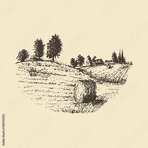 Vector sketch of rural landscape with mowed field.