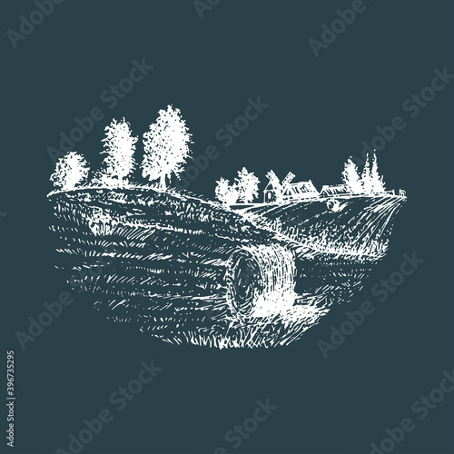 Vector sketch of rural landscape with mowed field.