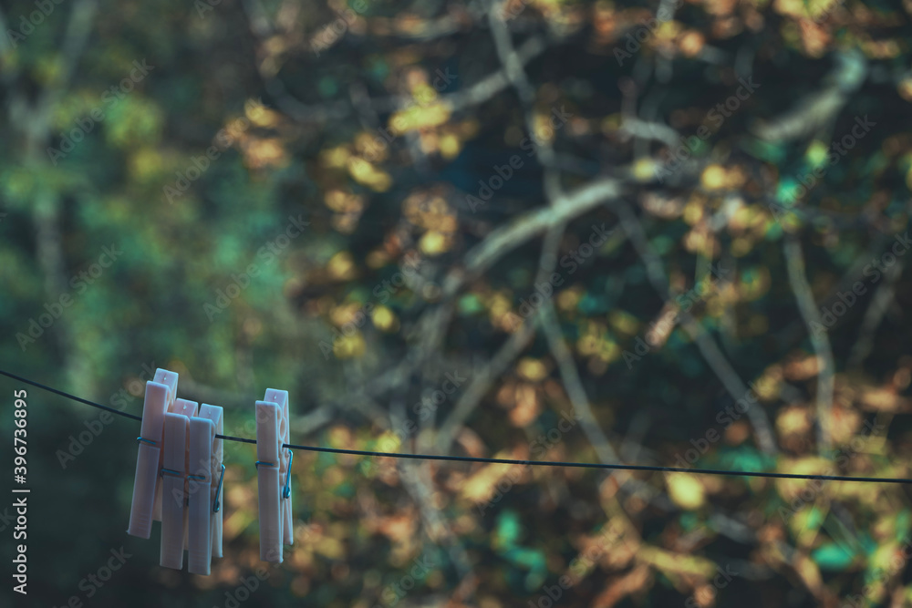 4 clothespins on a rope with the forest in the back 4 clothespins on a rope with the forest in the back