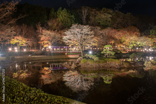 秋の日本庭園風景【夜景・ライトアップ】 © Kazuhito Hiramatsu