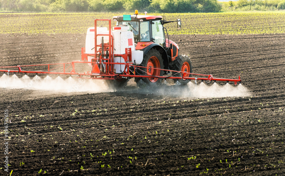 Fototapeta premium Tractor spraying land in sunset.