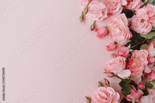 Fototapeta Naklejka Na Ścianę i Meble -  Beautiful pink roses flowers on pink background. Flatlay, top view minimalistic floral composition. Valentine's Day / Mother's Day holiday concept.