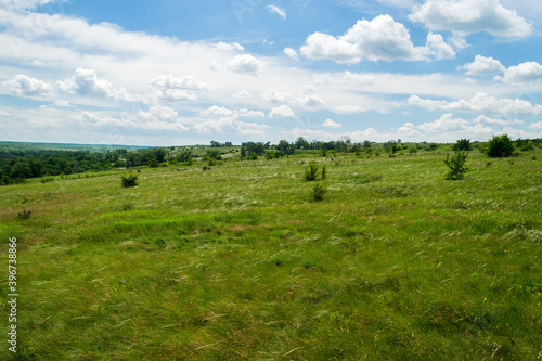 Beautiful colorful steppe in the summer season.