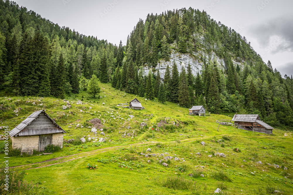 Lovely wooden cottages stand near a pine forest covered mountain in the tranquil Julian Alps en route to the Triglav Seven Lakes, Triglav National Park, Slovenia.
