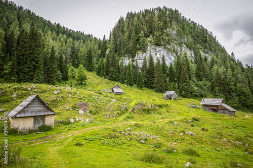 Lovely wooden cottages stand near a pine forest covered mountain in the tranquil Julian Alps en route to the Triglav Seven Lakes  Triglav National Park  Slovenia.
