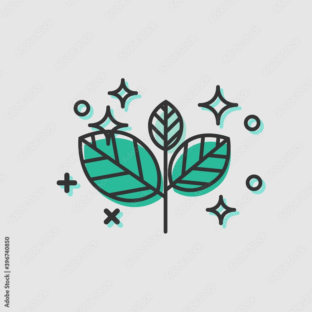 Fototapeta premium Mint leaves. Fresh and healthy mint branch. Vector outline illustration.