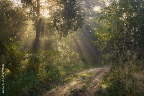 Path to a Fairytale ... © ivan_maljarenko